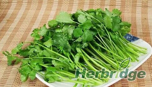 植物类天然香料,最香的食用天然植物香料