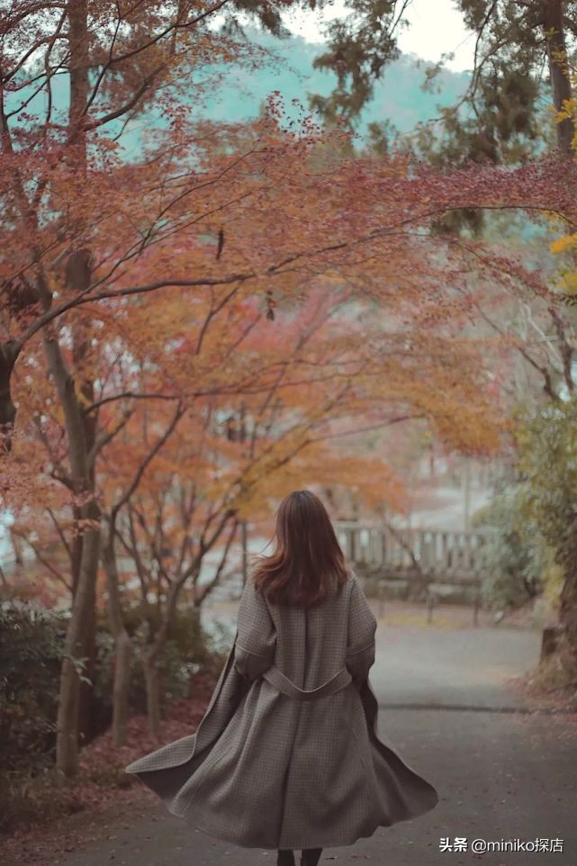 日本关西五天四晚旅游,日本关西6天5夜