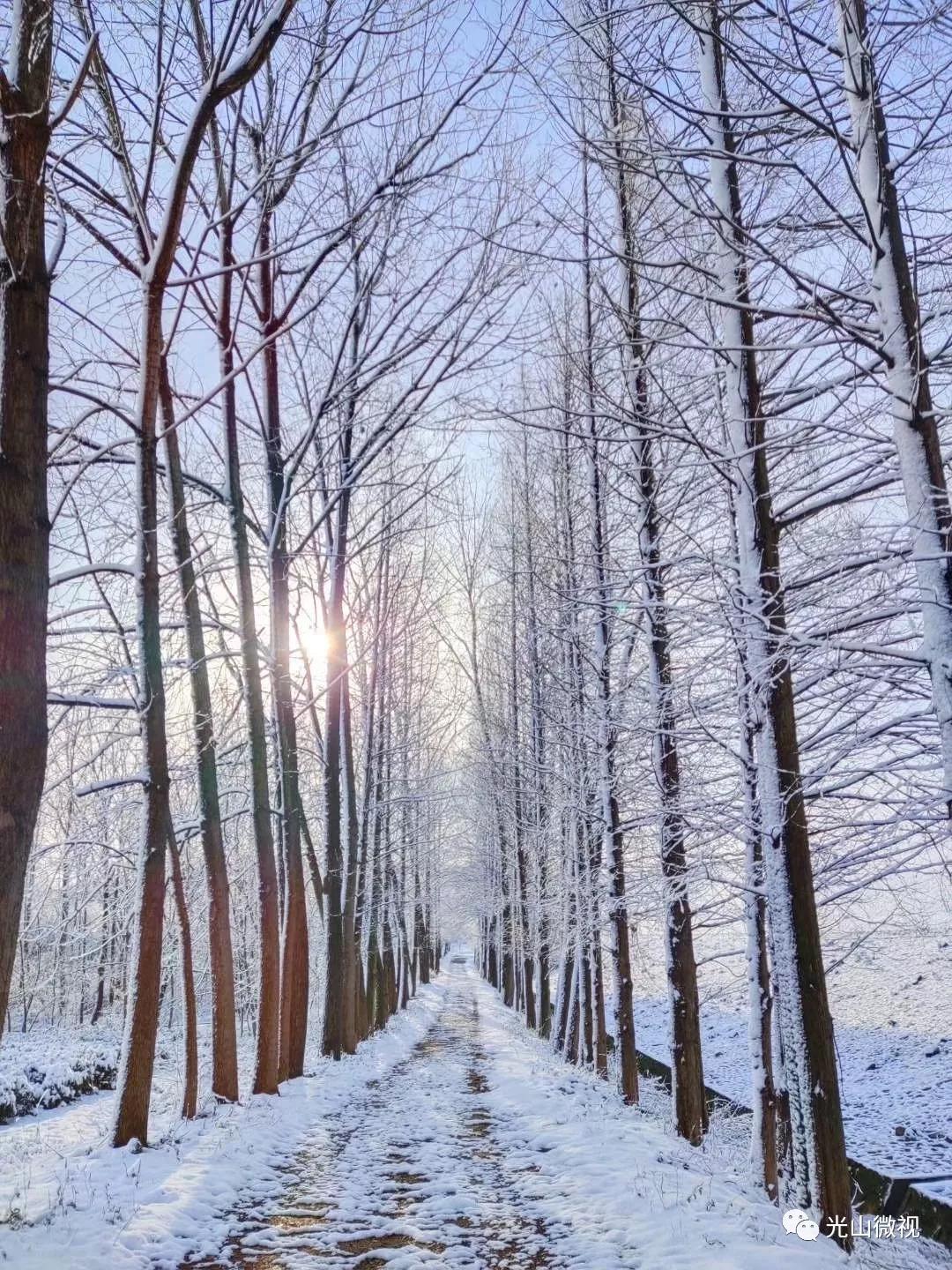 替你“打卡”！疫情中的光山雪景