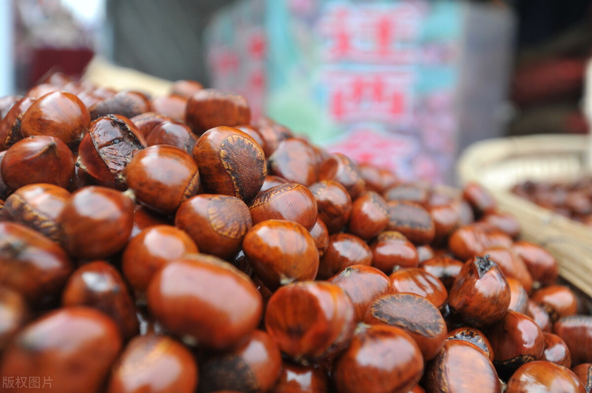 板栗要怎么保存才新鲜好吃,板栗的保存方法和吃法