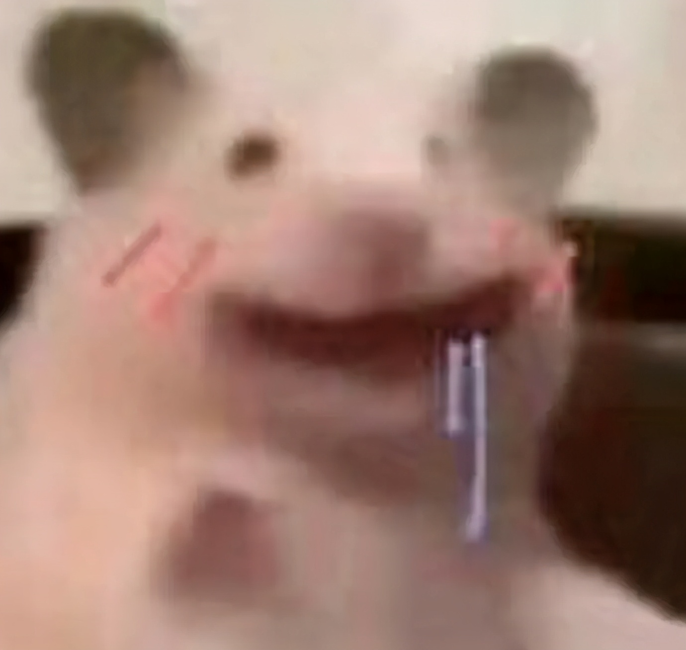 电脑桌面壁纸ins高级质感,更新一组好看的电脑桌面壁纸