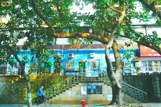 从平安路到桃园路的旧街，独属于老香洲的记忆