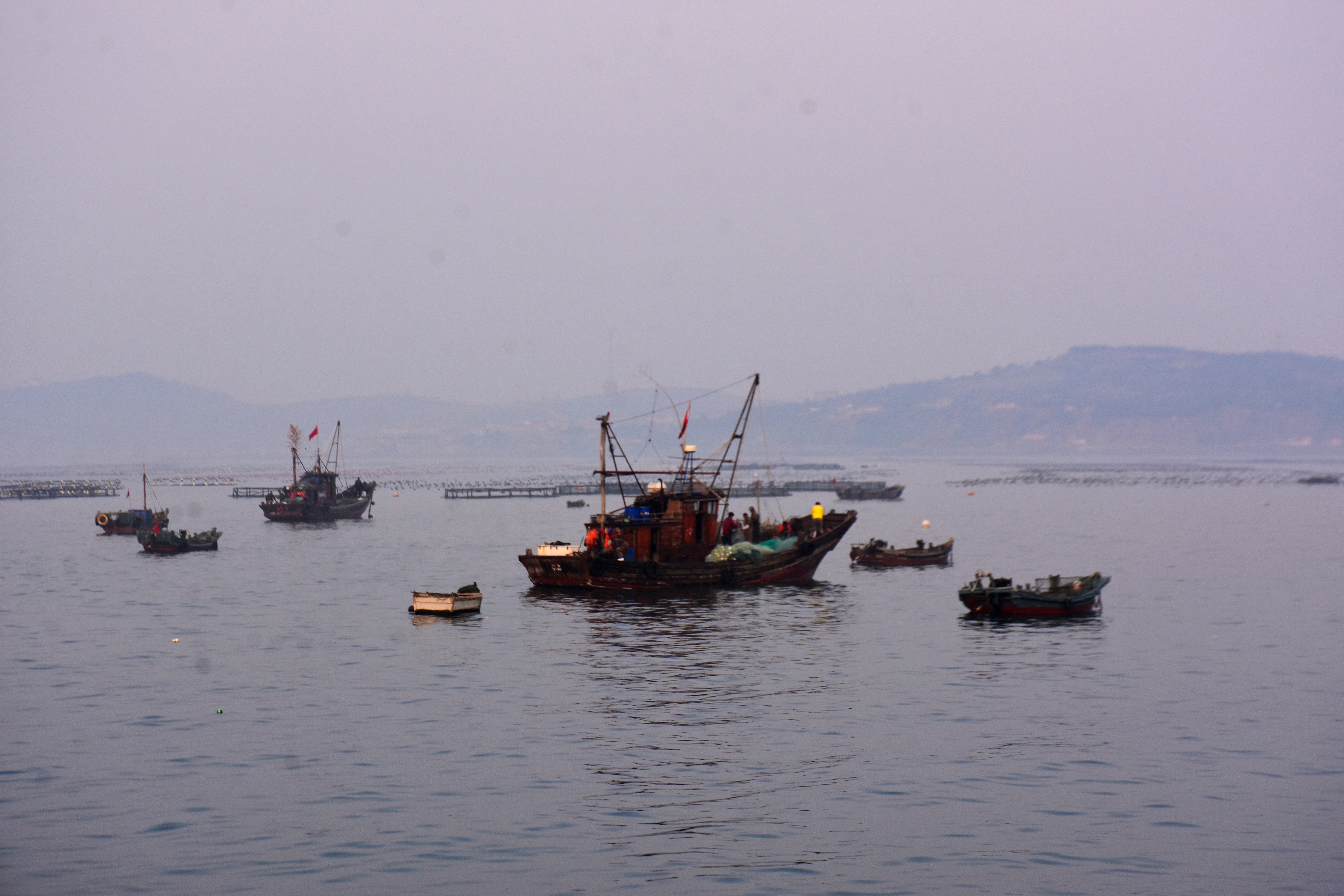 娓旀腐鐮佸ご鏂伴矞娴烽矞,娓旀腐鏂伴矞娴烽矞