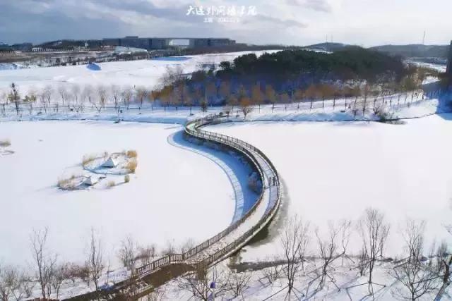 辽宁省高校(三十二)大连外国语大学