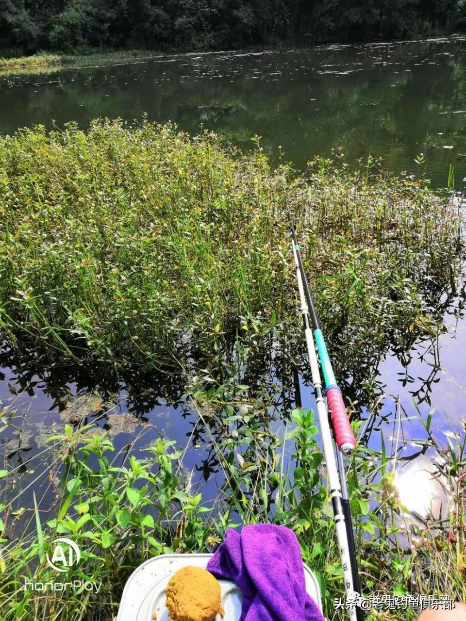 野河钓鲫鱼长竿占优势吗,现在野河钓鲫鱼是钓深处还是浅滩