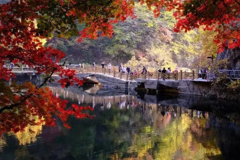 第二届中国摄影作品展,每周摄影作品展第二期