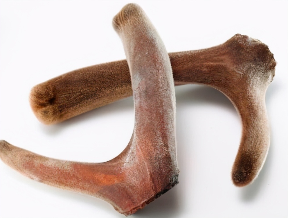 东北有三宝人参鹿茸还有什么,东北鹿茸哪种最好