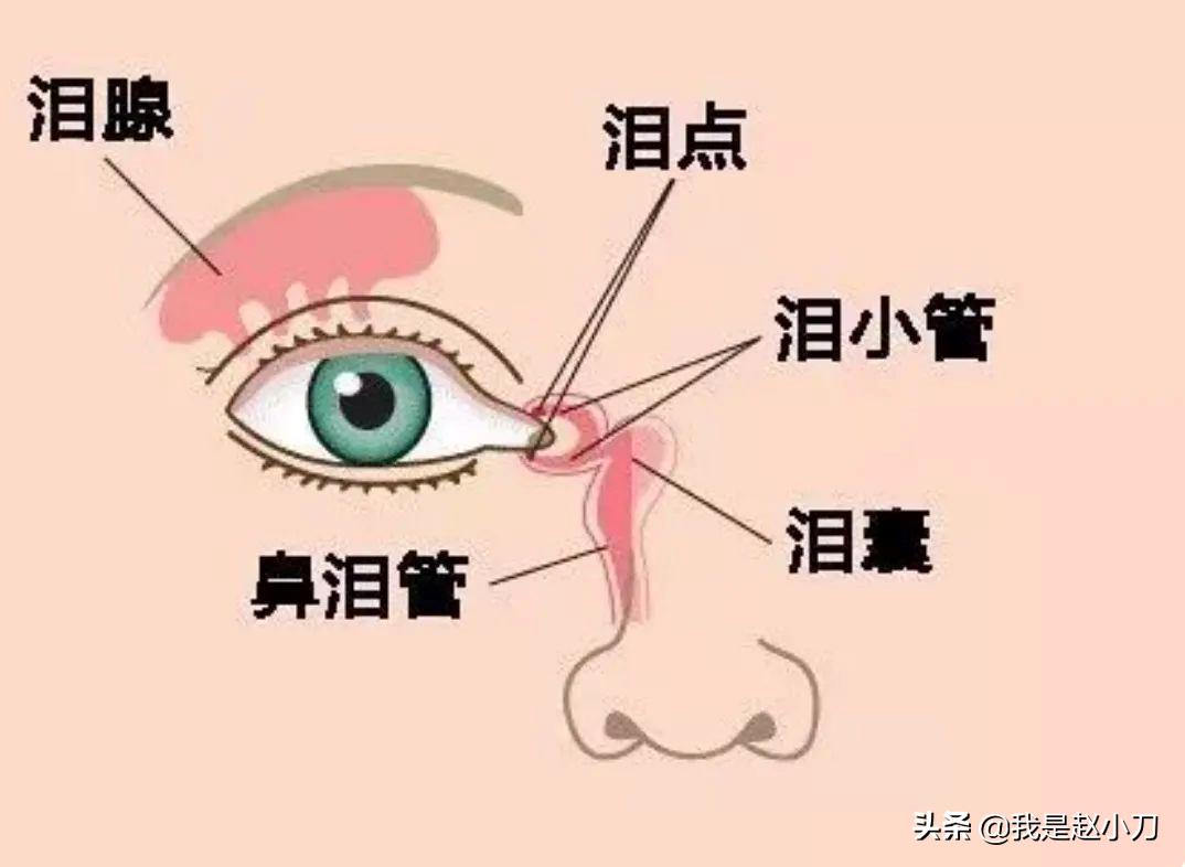 老是伤心难过流泪是怎么回事,明明不难过为什么会流眼泪