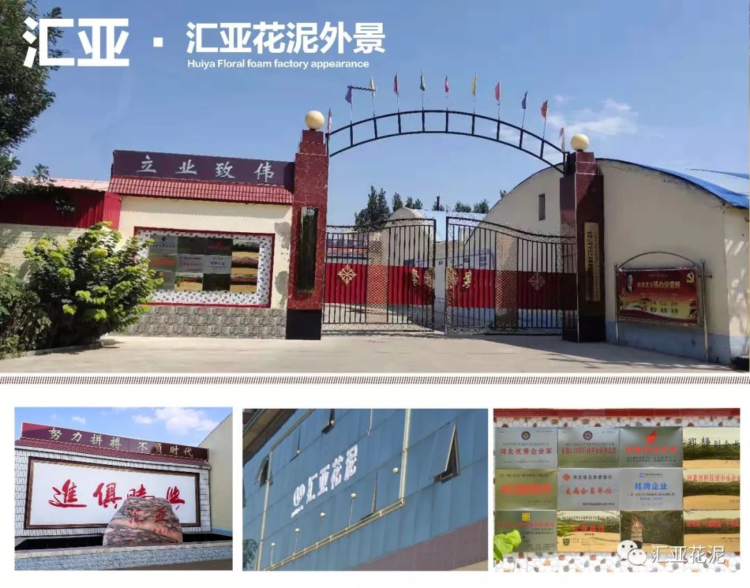 「品牌档案」汇亚·中国花泥行业优质品牌