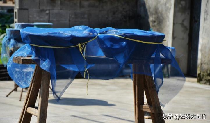 家庭自酿黄豆酱(酱油)-感受食品发酵的神奇