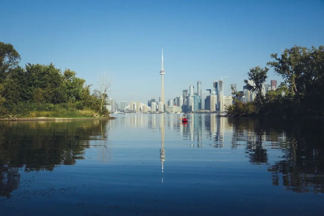 舌尖上的美食打卡醉鹅,多伦多美食推荐