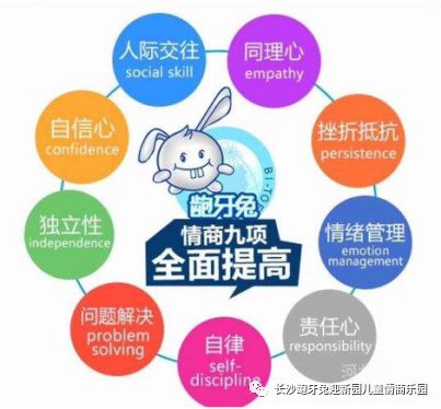 龅牙兔的情商教育怎么样,感恩遇见一个知冷知热的人