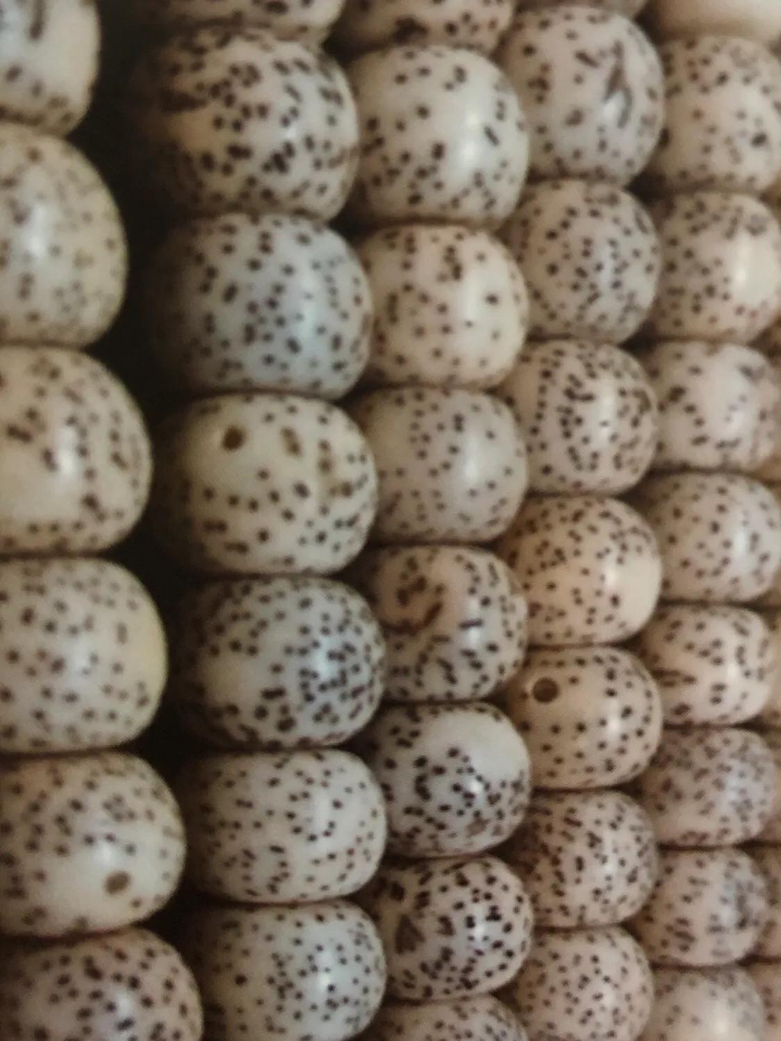 星月菩提的选购、盘玩、保养入门基础篇