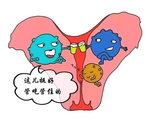 子宫肌瘤癌变怎么处理,子宫肌瘤癌变切除子宫能够根除吗