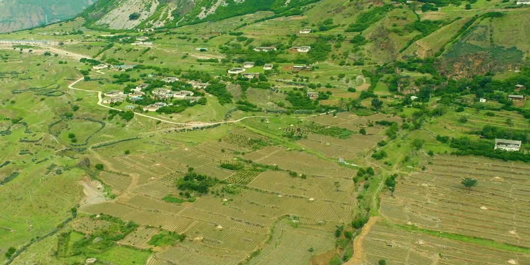 直击：乌东德镇大梨树村“金果果”探索之路