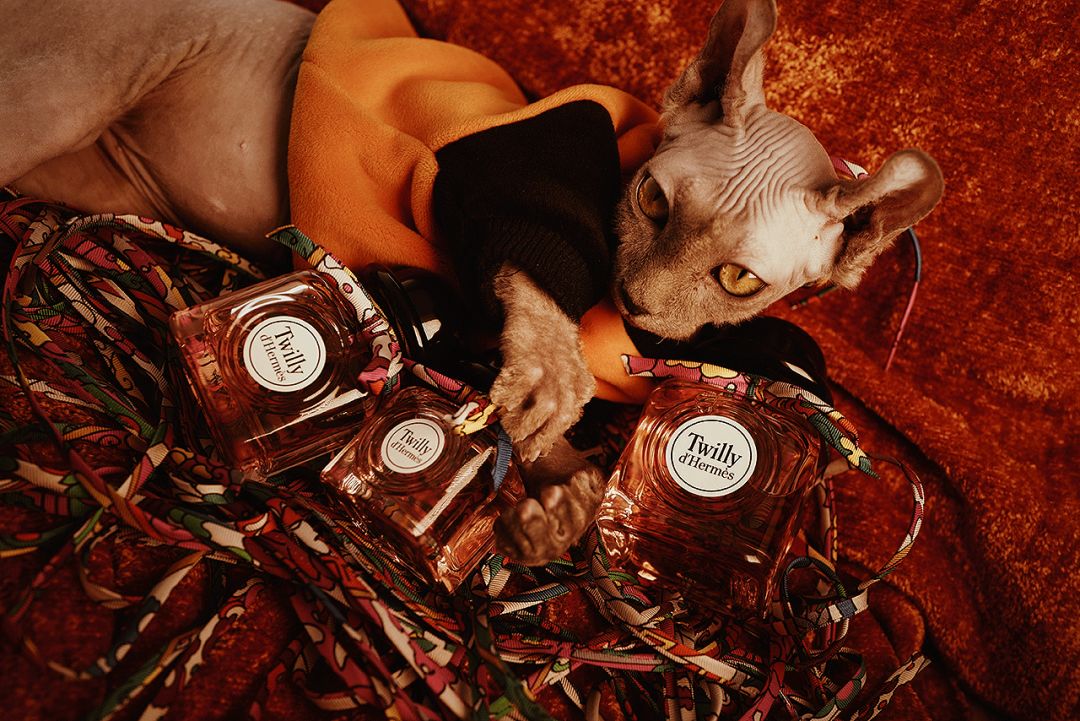 骞村害棣欐按鎺ㄨ崘鐩樼偣,骞村害澶х墝棣欐按