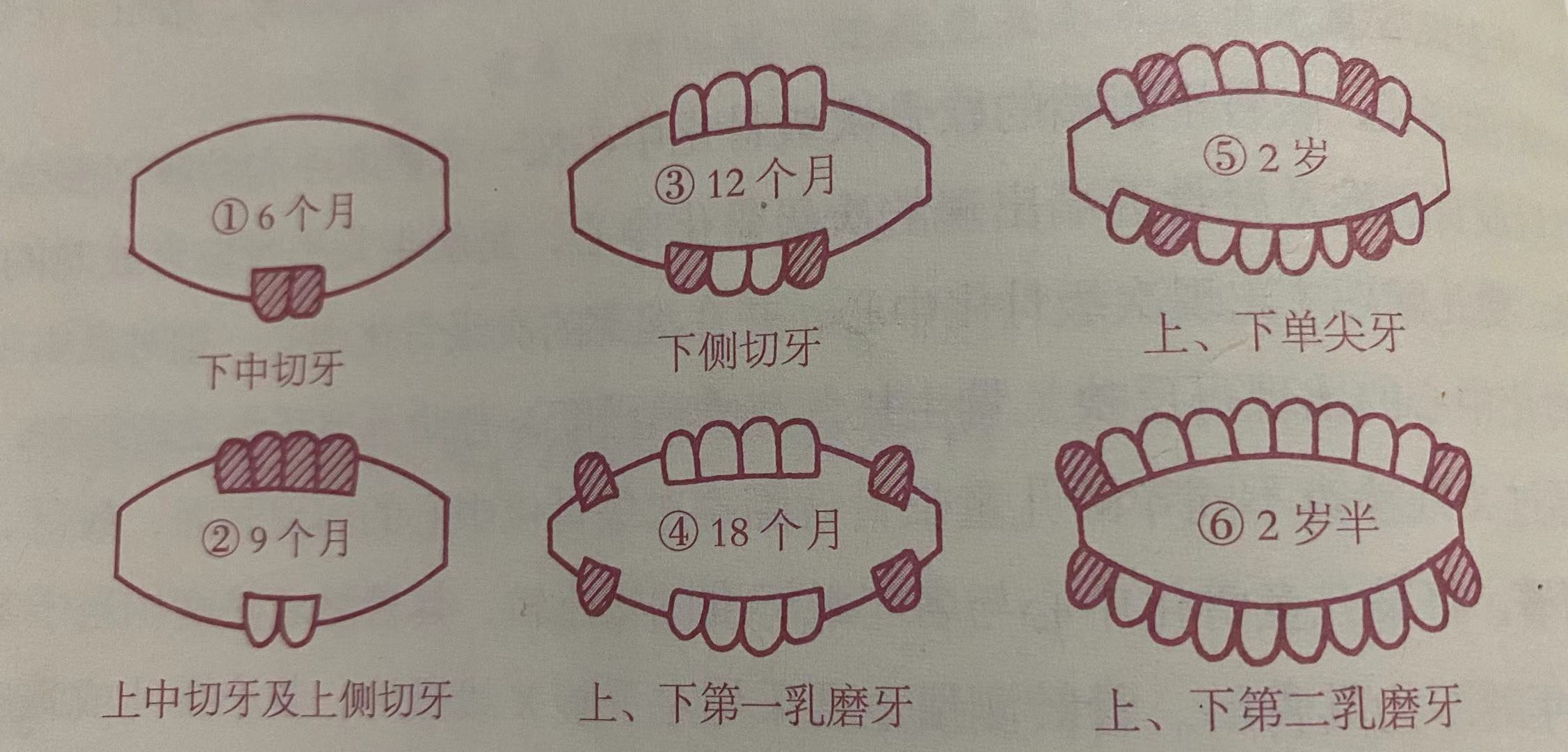 宝宝快十个月了还没有长牙怎么办,宝宝10个月了还没长牙有问题吗