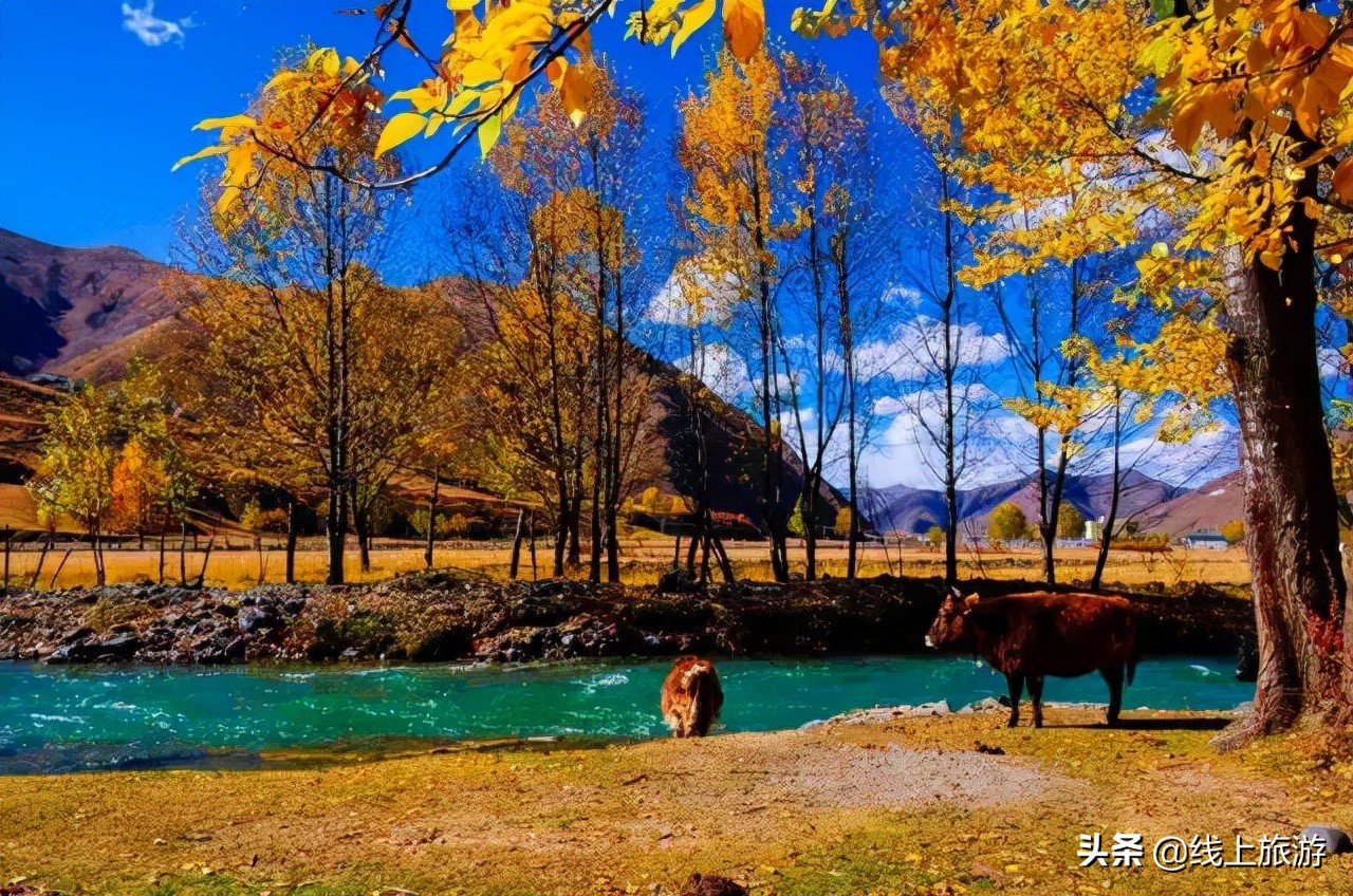 四川省内五一冷门车少路线,四川五一雅安冷门自驾游