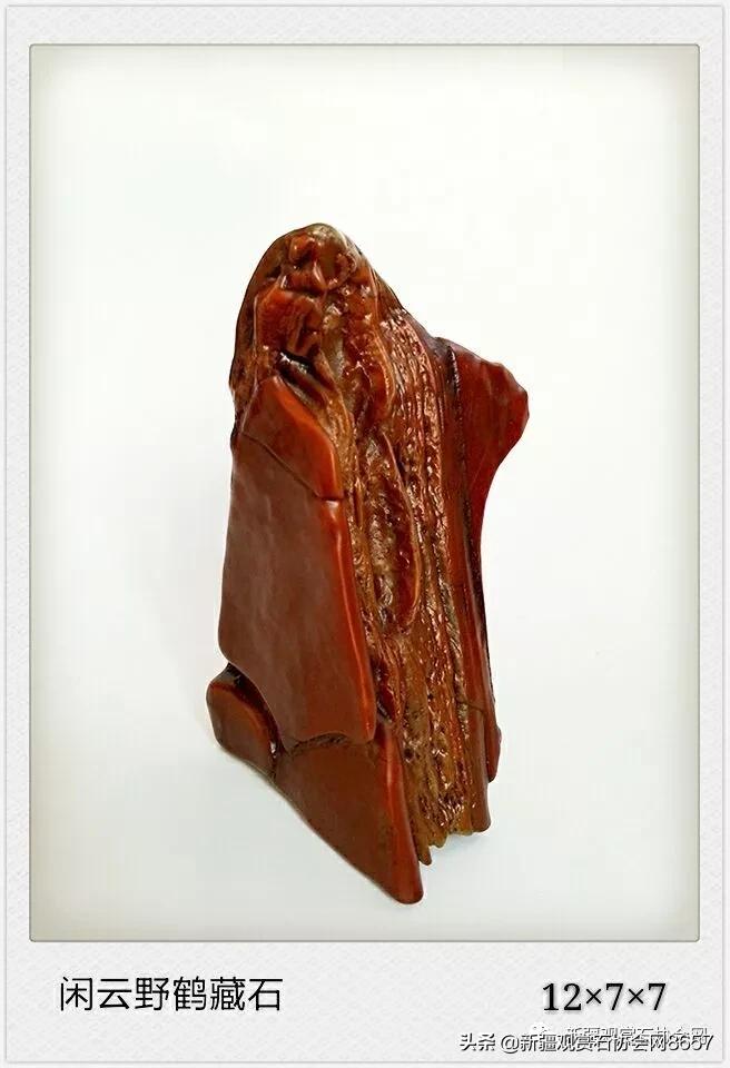 鎴堝鑰佺毊,鎴堝鑰佺毊鍜屾按鏅剁毊