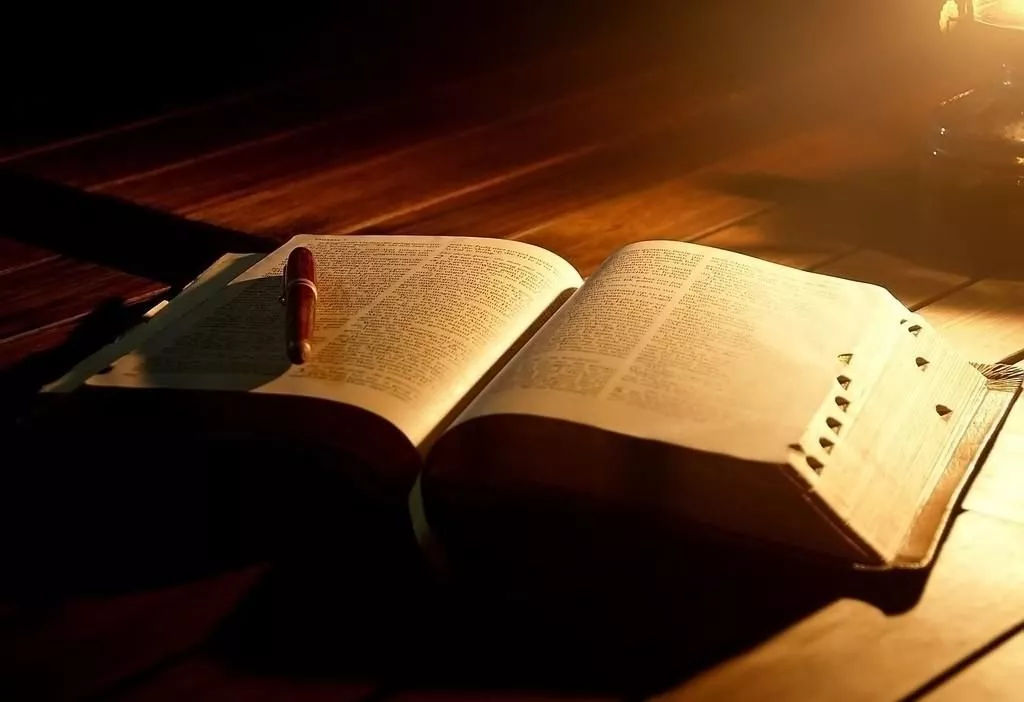 为什么自大的人更容易成功,自大自负的人有什么后果