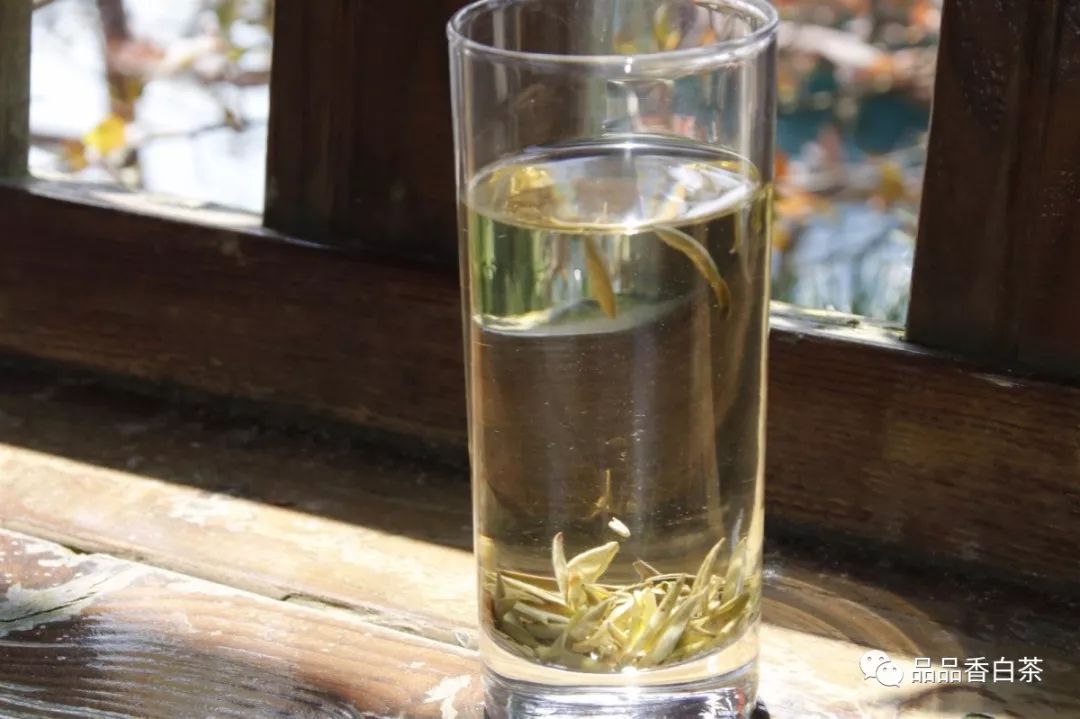 白茶有多可怕,白茶雷区