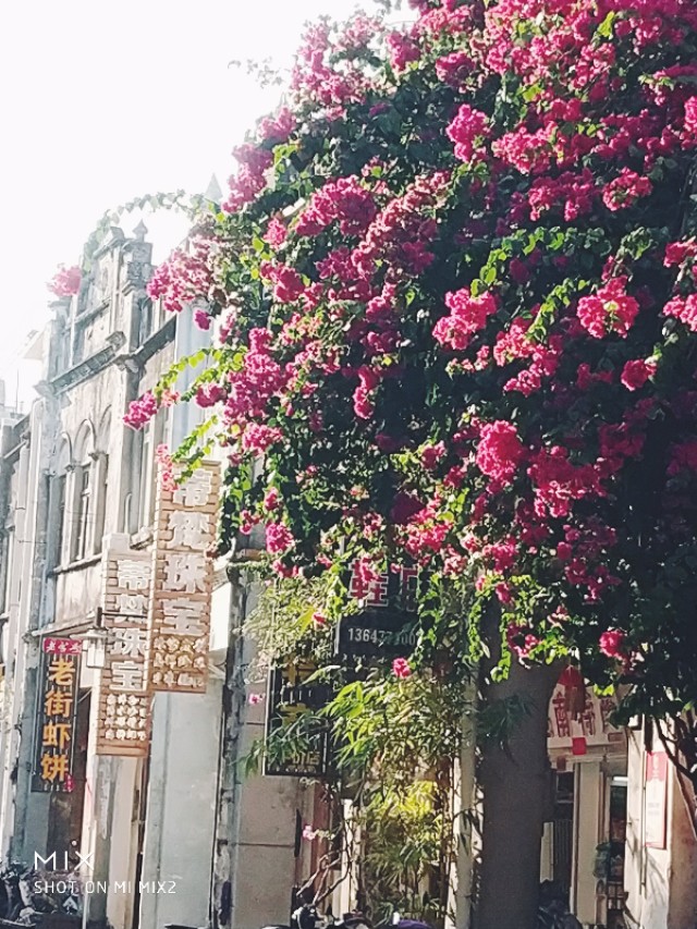 〔胭脂随笔〕走哪想哪,想哪写哪之西贡香水