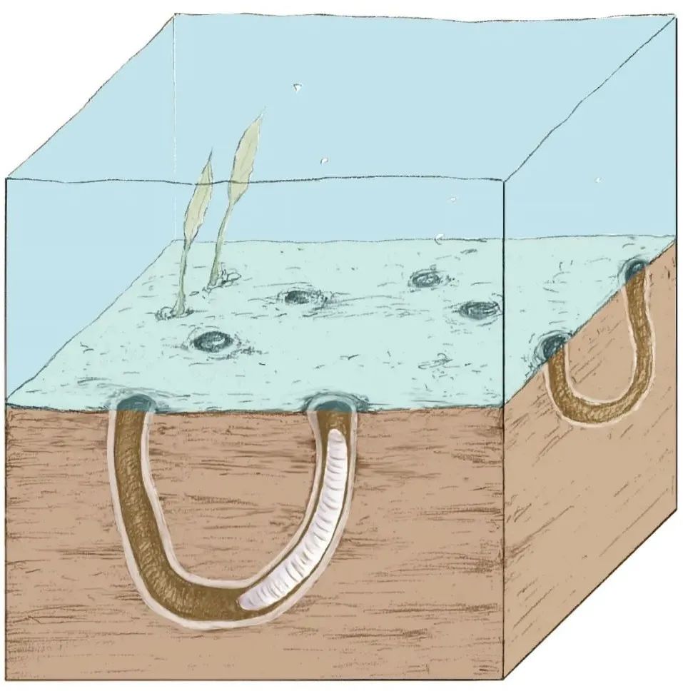 致全体火星人:我们来了