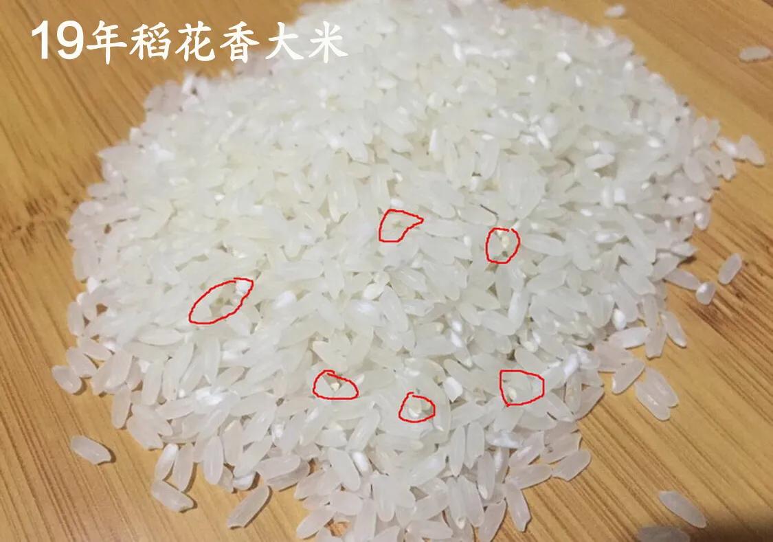 抛光米和普通米的区别视频,抛光的米好还是不抛光的米好