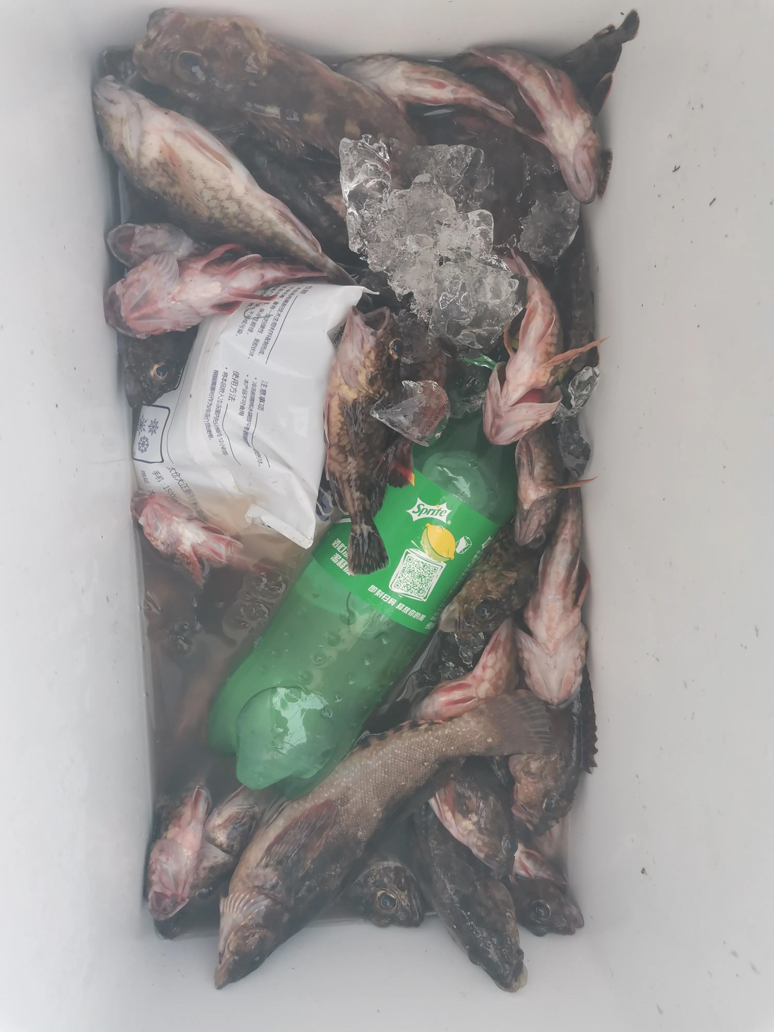 从20块钱的鱼竿开始入坑,购买鱼竿的十大坑