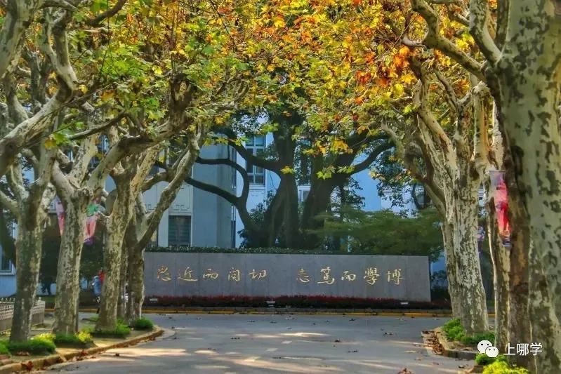 复旦系无弱校！上海全市6个大区，17所附属学校全分析