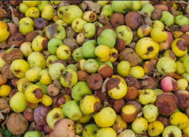 餐饮店鲜榨果汁,饮品店鲜榨果汁有哪些