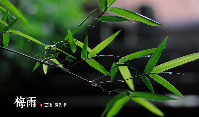 荞麦枕头如何清洗和保养,潮湿的地方适合荞麦枕头吗