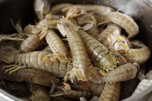 开海什么海鲜最好,开海季肥美海鲜