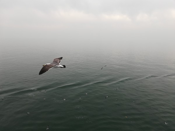 坐船游丹东朝鲜边境,坐船游漓江多少钱