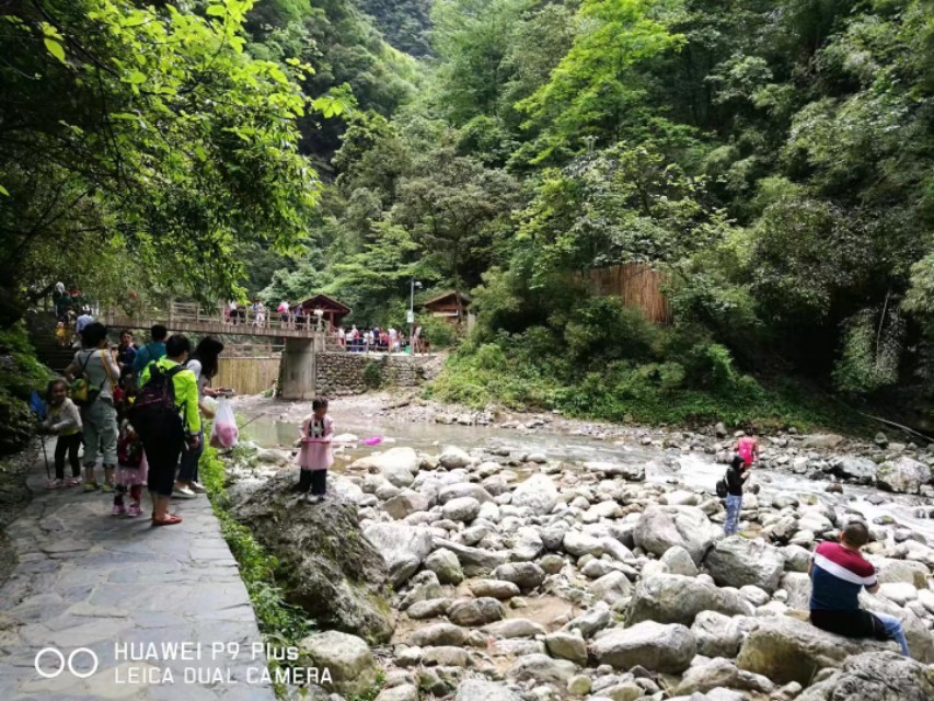 重庆黑山谷避暑适合吗,重庆避暑7天黑山谷