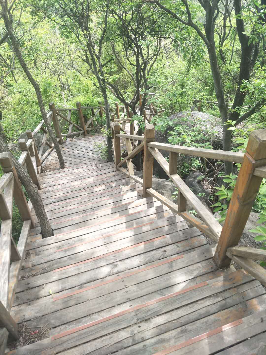 踏春五宝庵风景,踏春五宝庵山在哪里