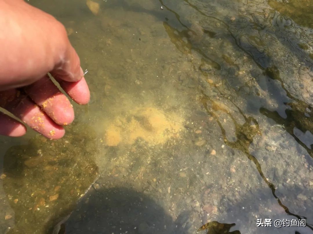 什么饵料雾化状态好,钓大鱼饵料雾化好还是不雾化好