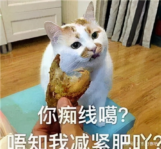 广东人必须知道的东西,广东有哪些很多人不知道的好东西