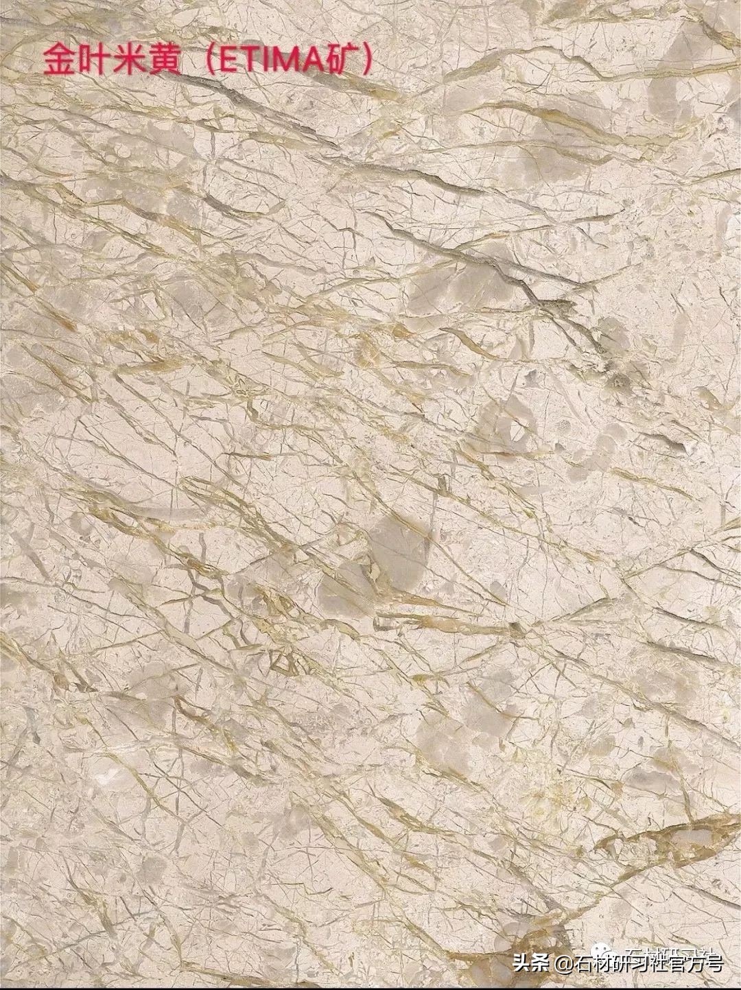 豪宅用的高级天然大理石,别墅铺什么颜色大理石档次最高