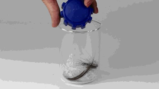 一家人经历了苦难但依然幸福,一家人经历种种磨难