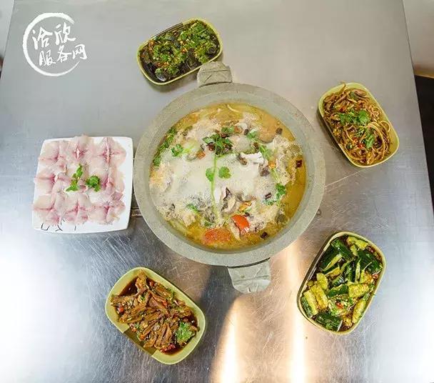 鱼控要疯了~光靠颜值就已经圈粉无数