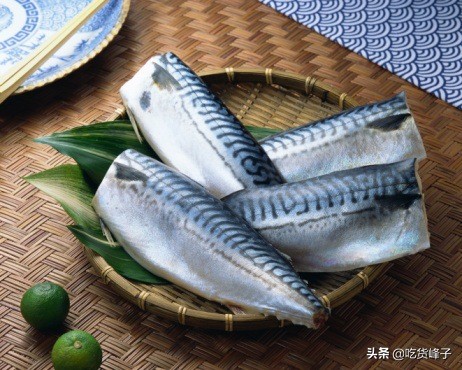 鲅鱼和鲐鲅鱼都是海鱼吗,跟鲐鲅鱼长得类似的有哪几种