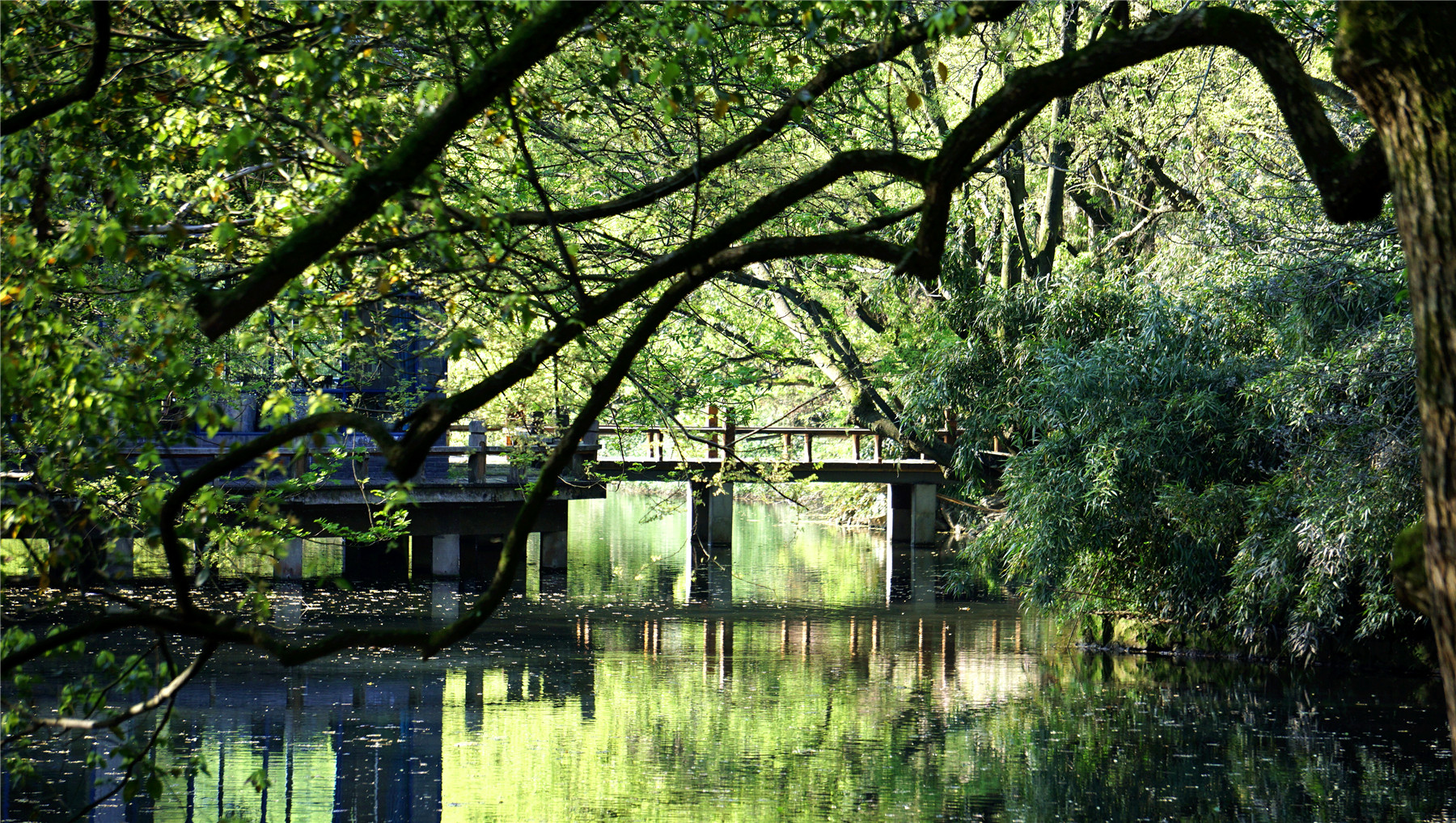 杭州西湖游玩攻略大全,杭州西湖最佳游玩攻略