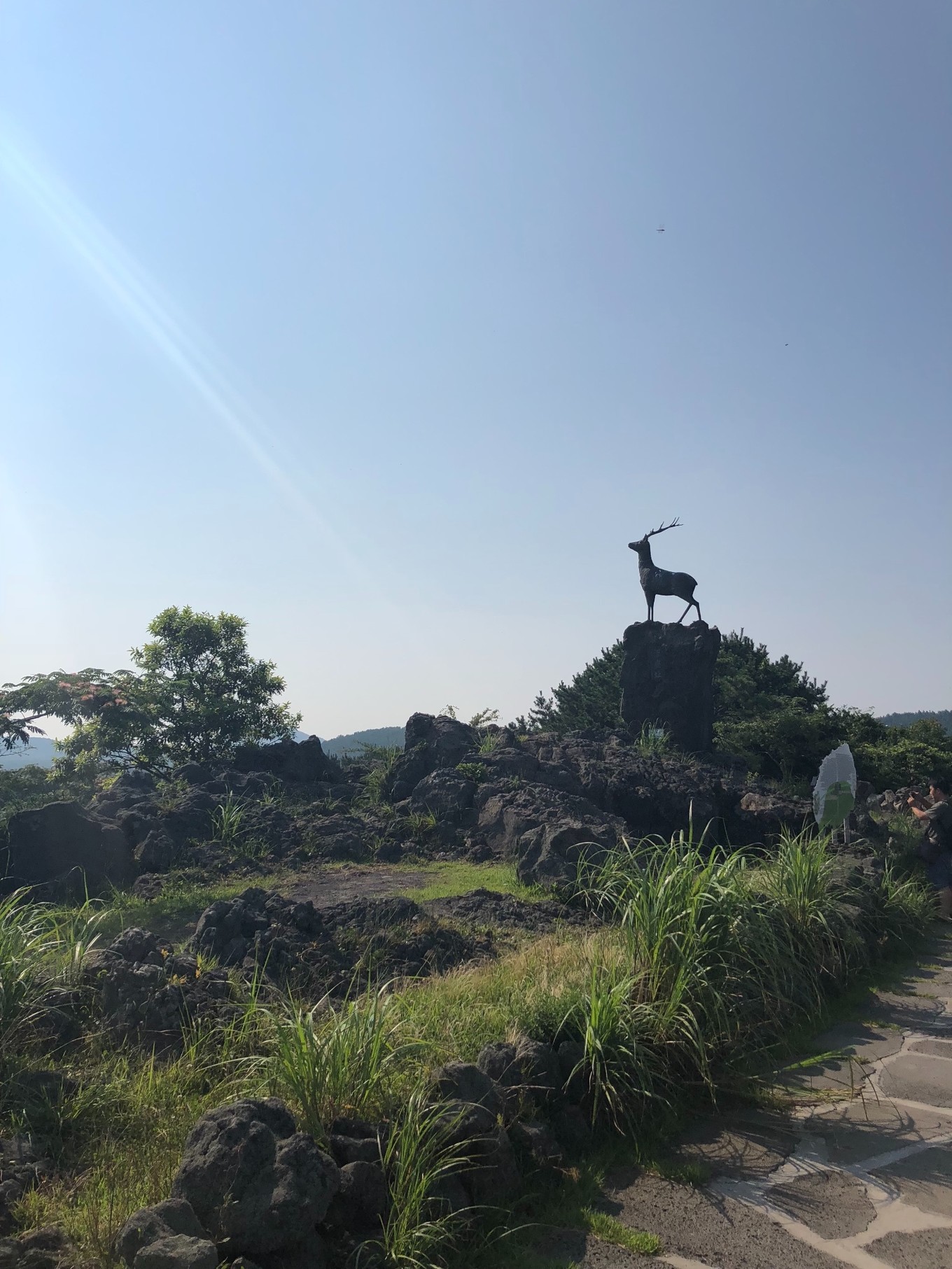 不会韩语如何去韩国玩,不会韩语怎么去韩国旅游