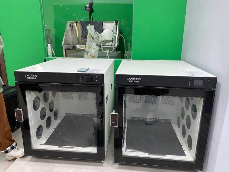 上海自助洗宠,上海宠物自助洗宠