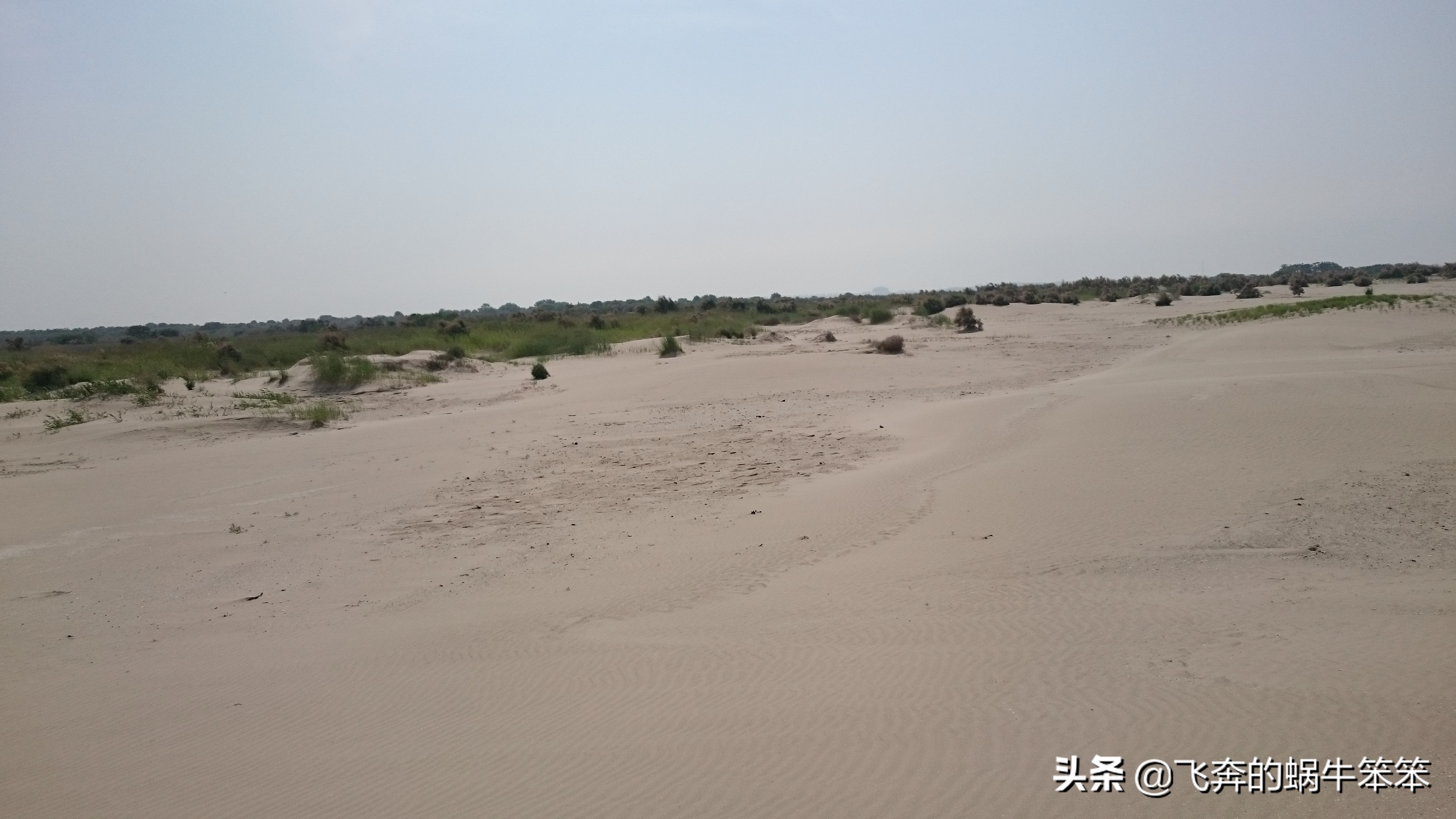 乐亭月岛赶海攻略,赶海看日出