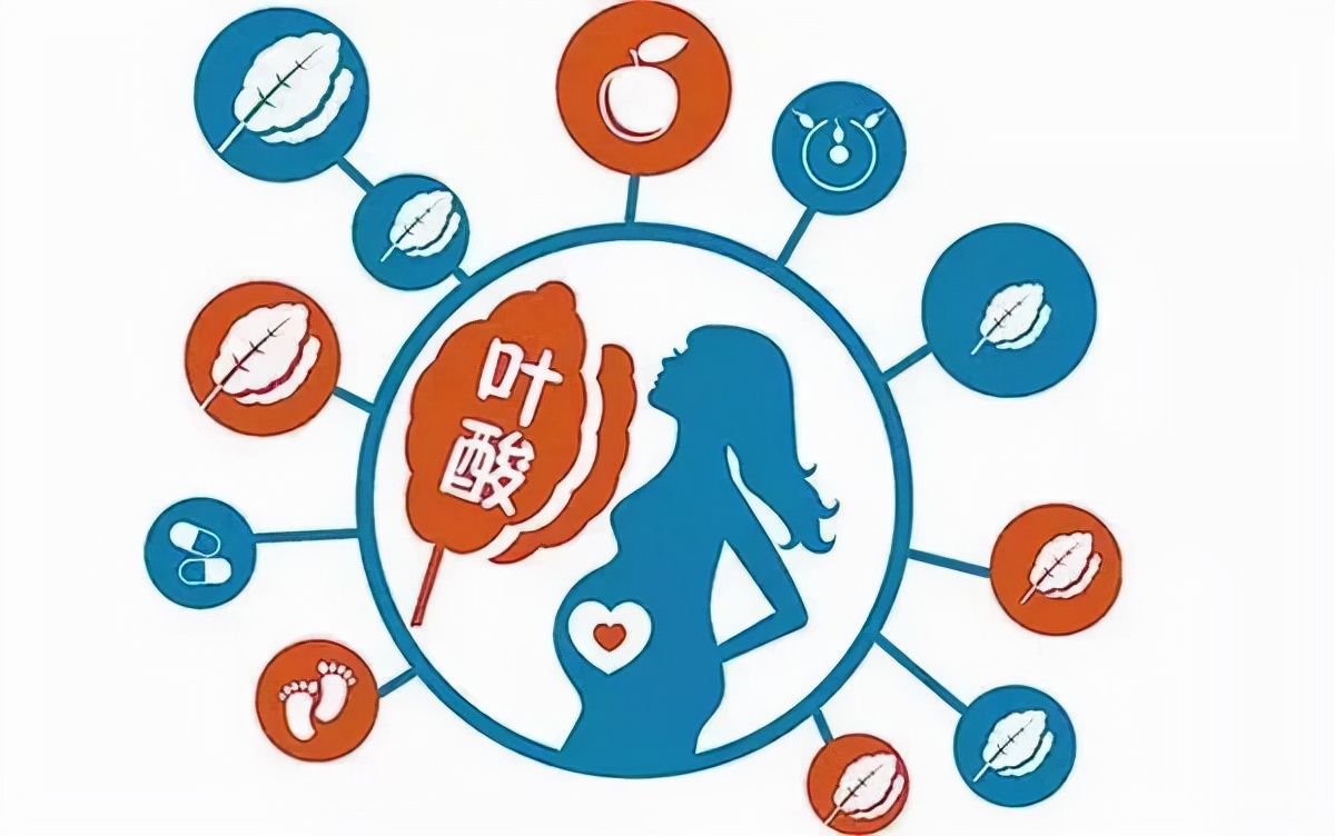 白发缺少叶酸应该怎么补,老年人应该补叶酸还是补钙