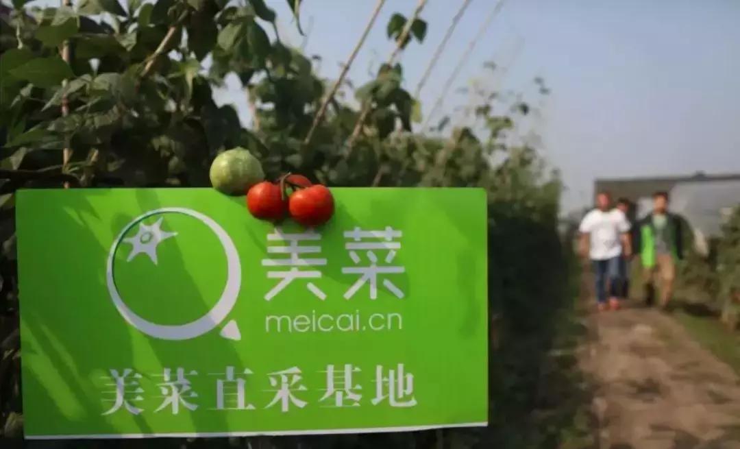 美菜供应链高峰,美菜供应链