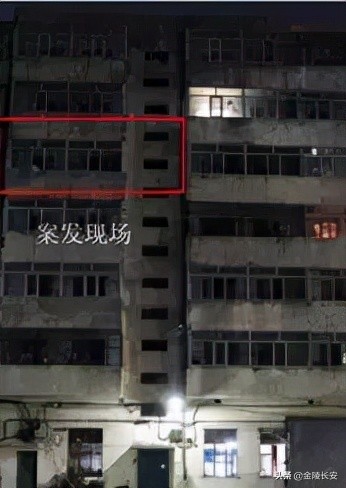 大案纪实:黑龙江孕妇*艳猎**杀人案