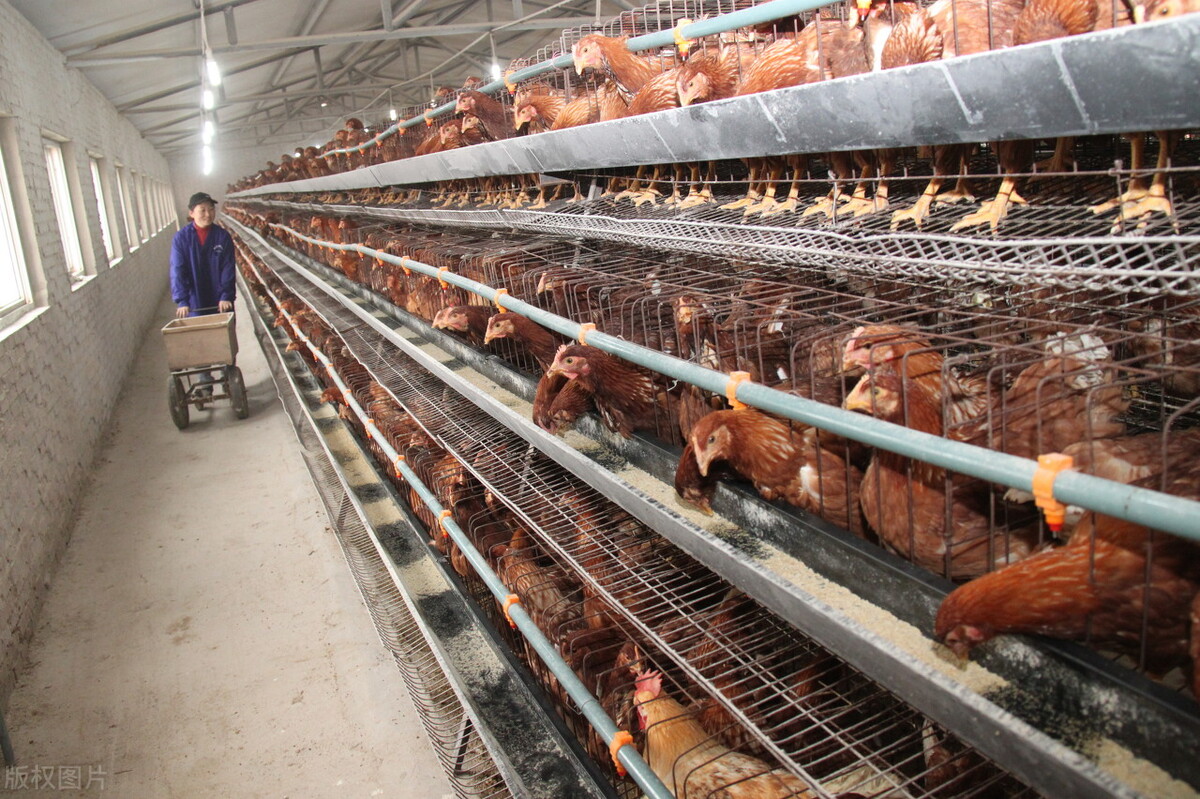 2020年一月宜昌重点项目集中开工,宜昌2022年重大工程项目清单